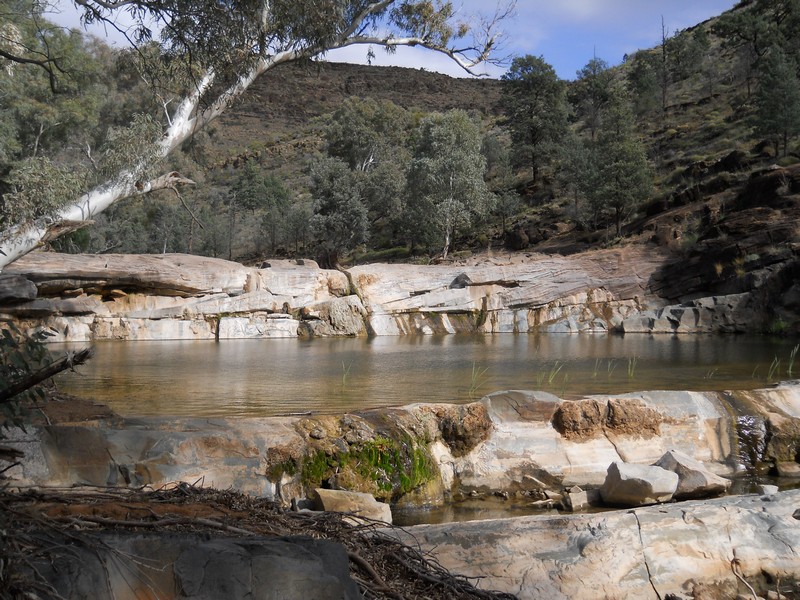 Flinders Ranges SA 7.jpg