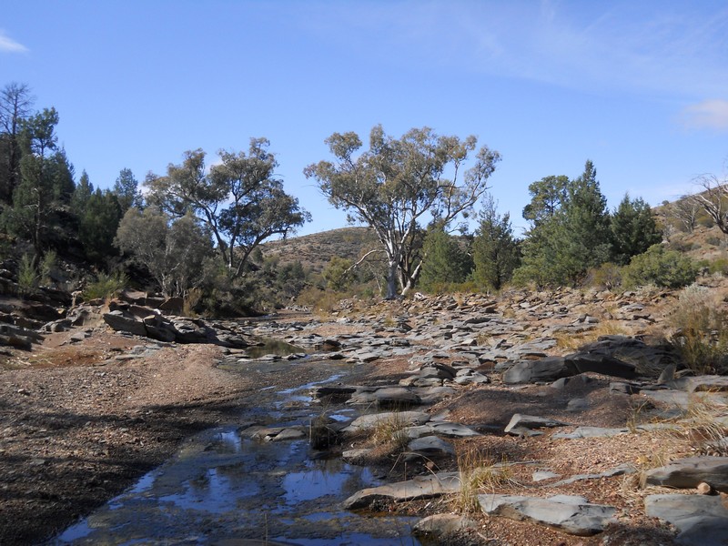 Flinders Ranges SA 13.jpg