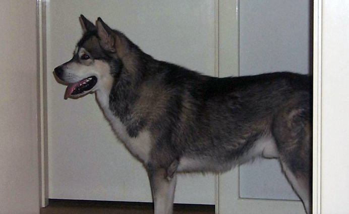 Oskar