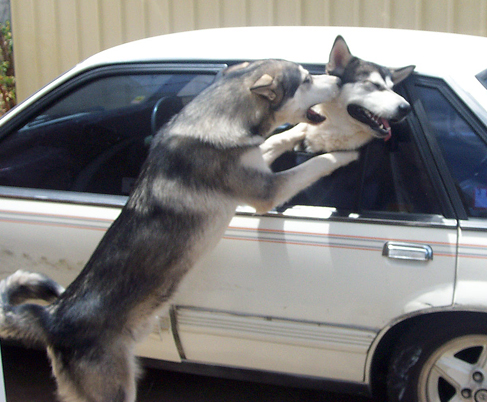 Riker and friend.