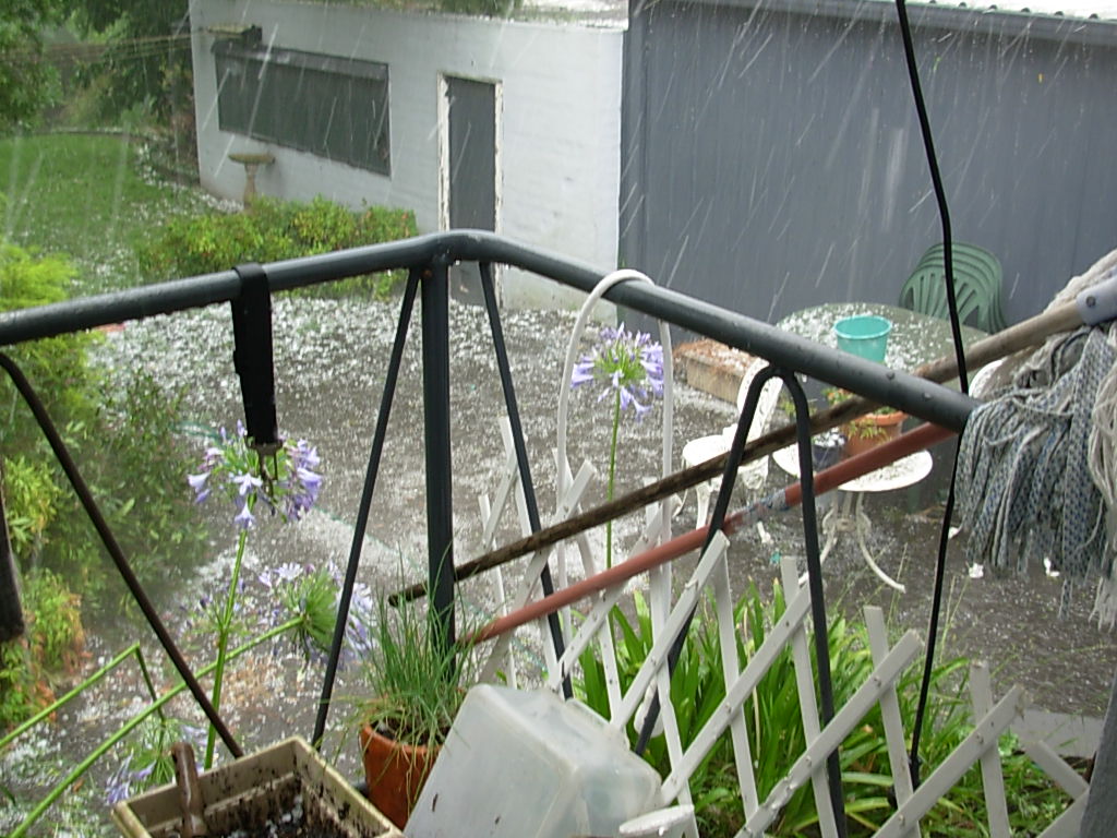 DSCN0102.JPG
