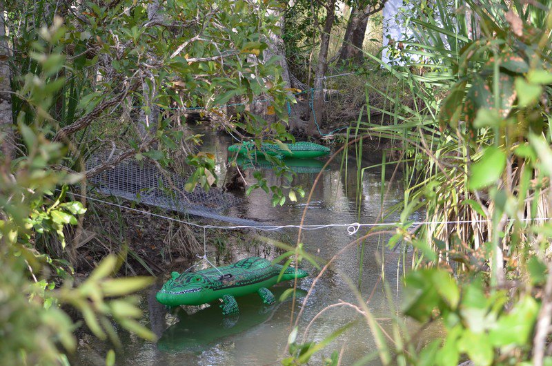 crocs, no swimmin'.jpg