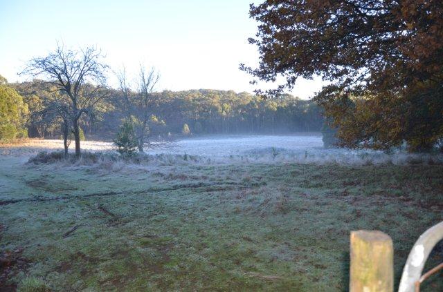 DSC_4163.jpg