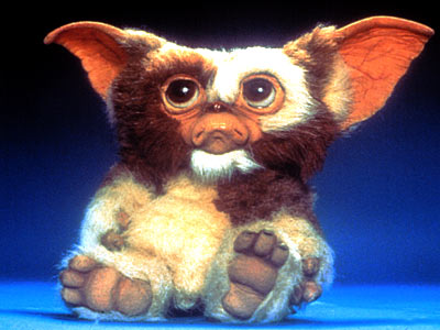 gizmo.jpg