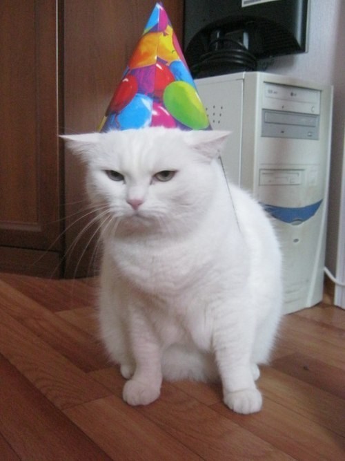 yay birthday.jpg