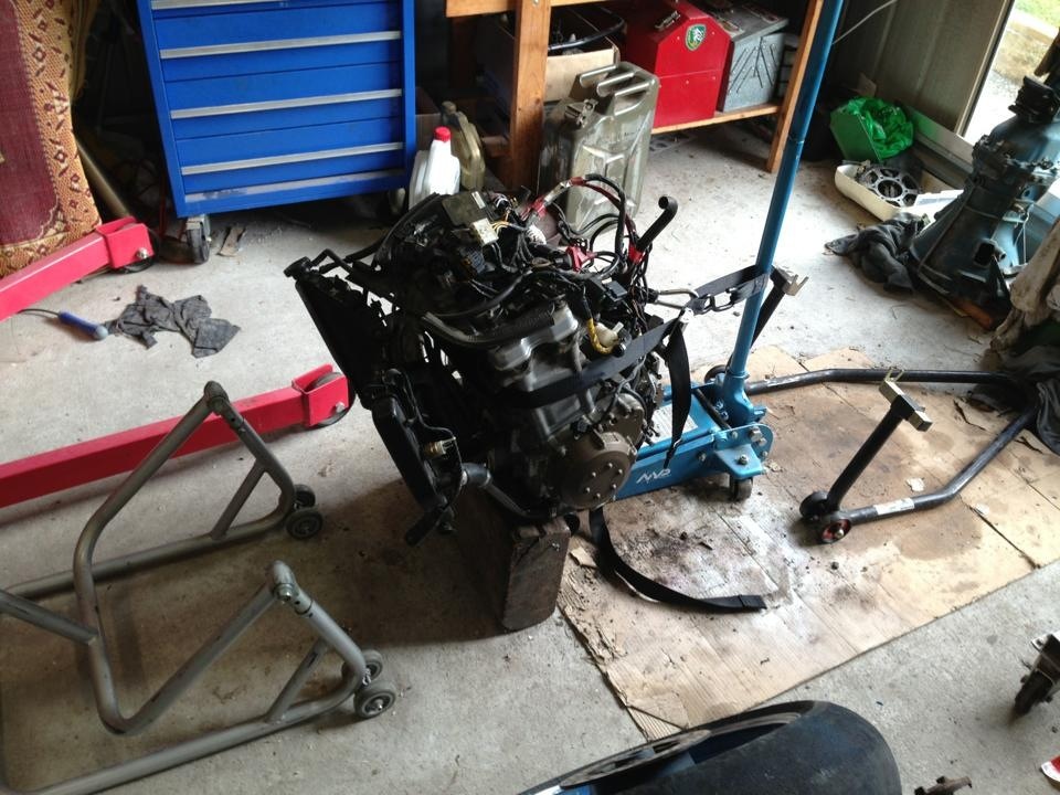 Donk wanting some motorcycle back around it!