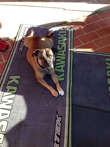 Once you move that piece of crap out of the Garage this mat is mine.........