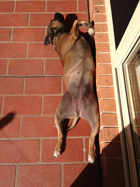 Working on the Tan