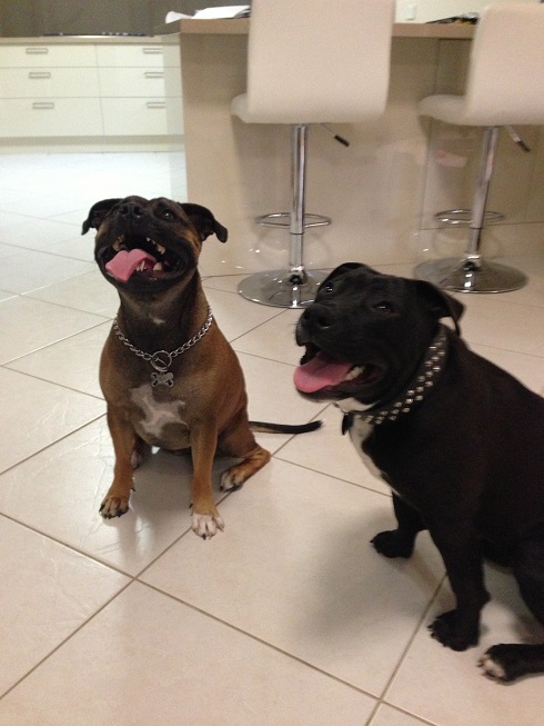 Playdate....Woohooo