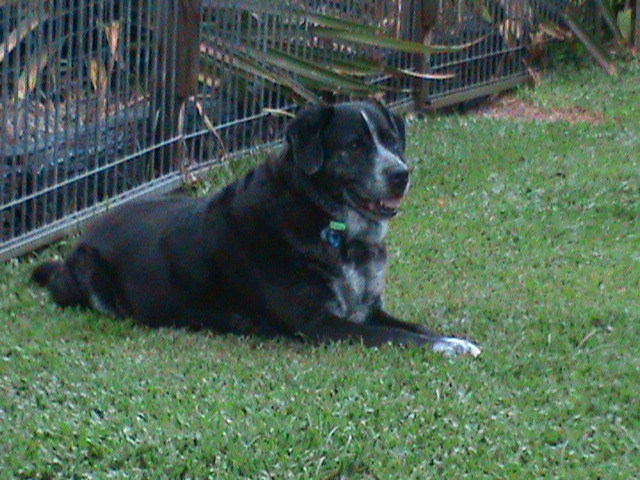 DSC00008.JPG