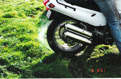scan0003.jpg
