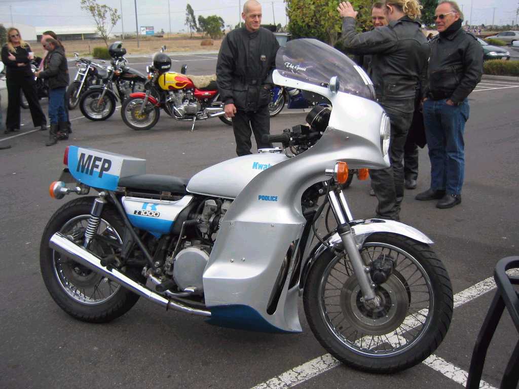GooseReplica1.jpg