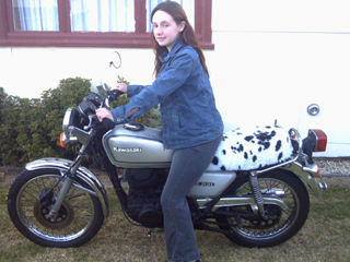 vix bike 011.jpg